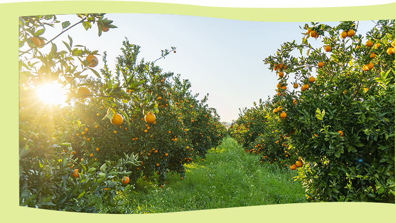 發(fā)展永續(xù)環(huán)境